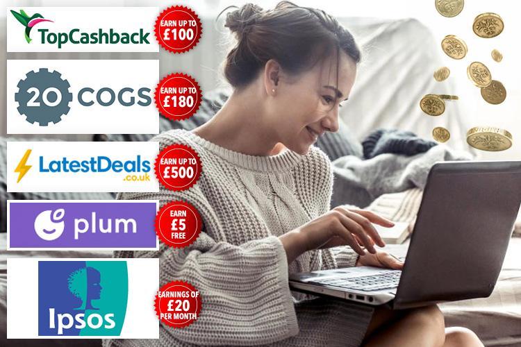  Bloggers and savvy savers have revealed the ways you can make money online