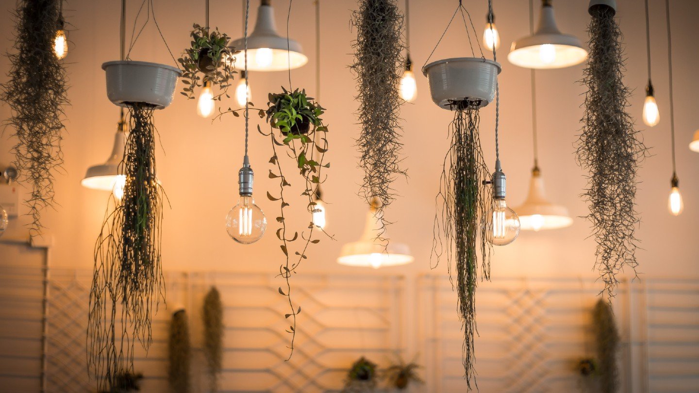 Save money on lighting your home: Our energy saving tips – Mozo.com.au