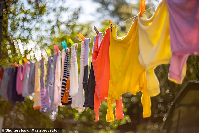 The average cost to run a tumble dryer for a year totals £180, which means air drying your clothes where possible could have the biggest impact on your energy bill