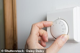 One in five have said they are making energy efficient changes to their home to cut down on costs of energy bills