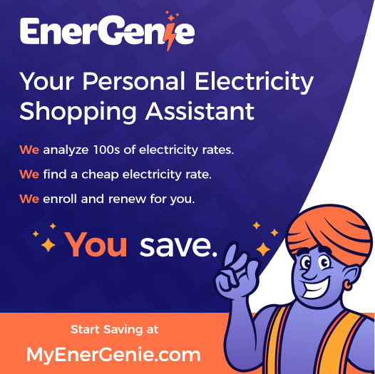 EnerGenie Electricity Shopping Assistant