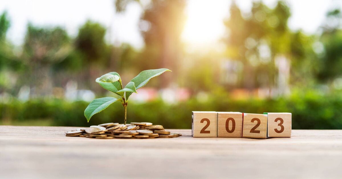 Consumer Corner: Five money saving tips for the new year – Irish Examiner