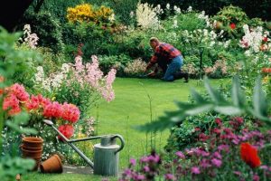 Six ways to make your garden a money-saving investment this summer – Daily Record