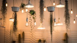 Save money on lighting your home: Our energy saving tips – Mozo.com.au